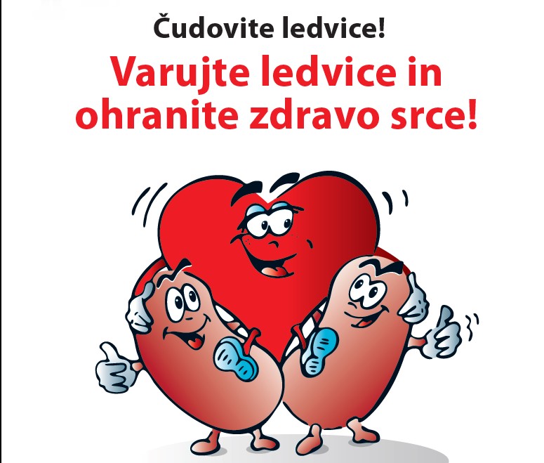 Svetovni dan ledvic3.jpg